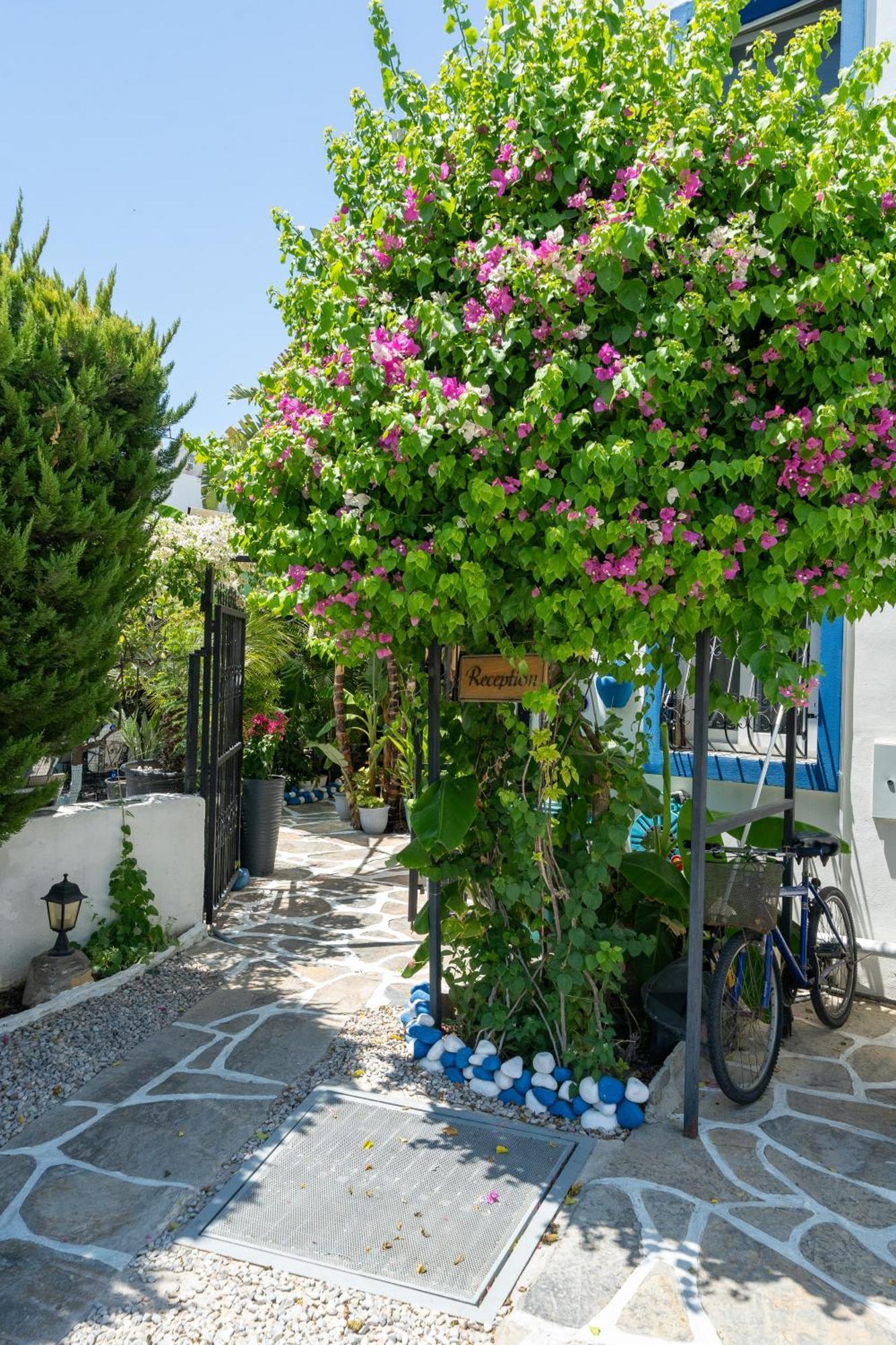 Artunc Hotel Bodrum Ngoại thất bức ảnh